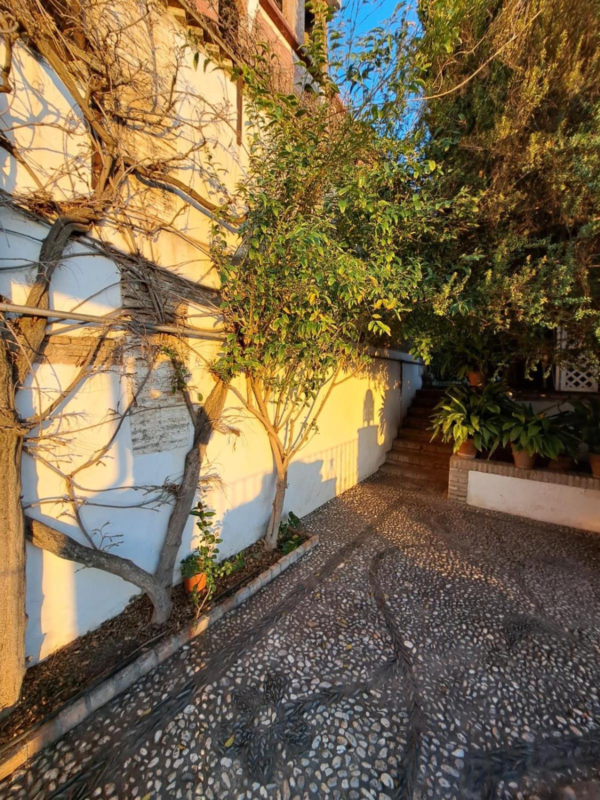 Carmen De Belen Apartment Granada Exterior foto